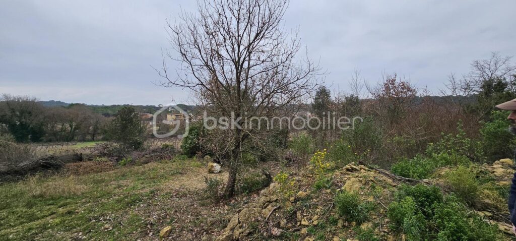 Terrain sur la commune de Villevieille – Zone AA – NR pièces – NR chambres – 7256 m²