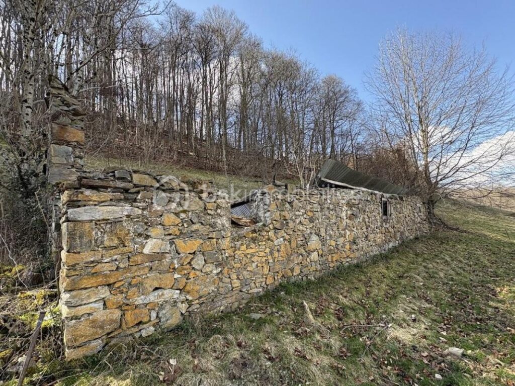 Grange Foraine en Ruine avec terrain sur Campan – 1 pièce – NR chambres – 91 m²