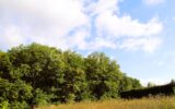 Terrain à vendre à Maintenon — Vue nature — photo 1