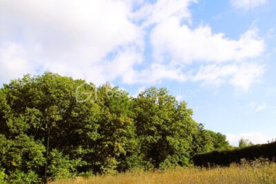 Terrain à vendre à Maintenon