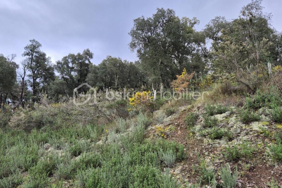 Terrain à vendre à Argeles sur mer