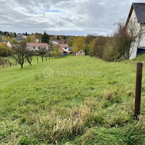 Terrain à vendre à Diebling — Vue nature — photo 3