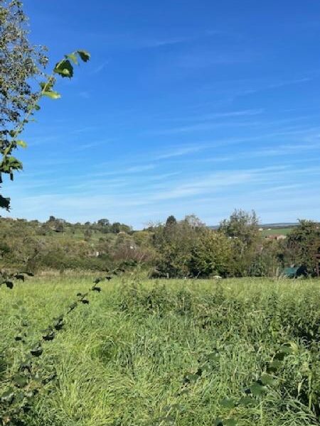 Terrain à vendre à Bouxieres aux chenes
