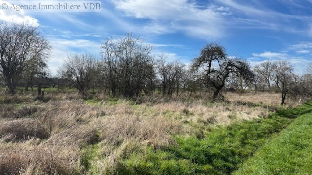 Vente de terrain à ARRACOURT – NR pièces – NR chambres – 790 m²