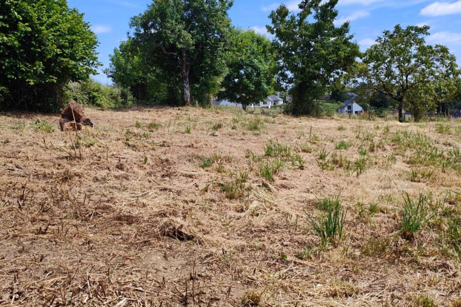 Terrain à vendre à Donzenac