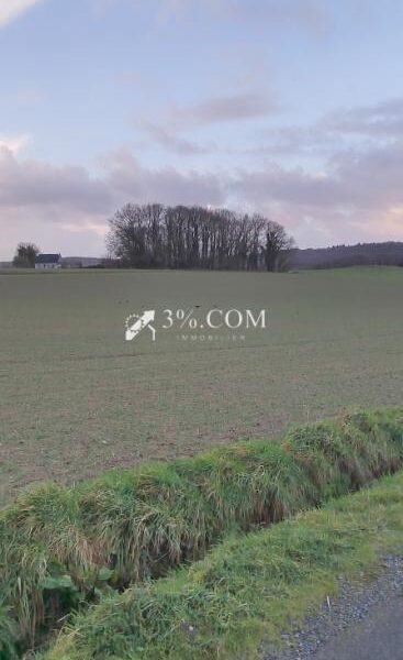 Terrain à vendre à Baud