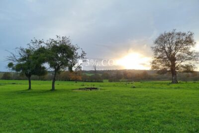 Jolie maison en pierres avec petite dépendance – 5 pièces – 3 chambres – 107 m²