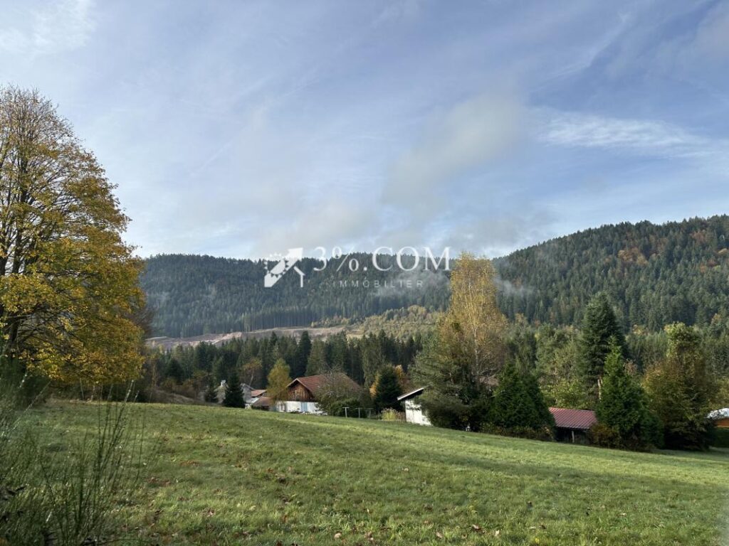 Terrain à bâtir 1800 m2 secteur Gerardmer – NR pièces – NR chambres – 1800 m²