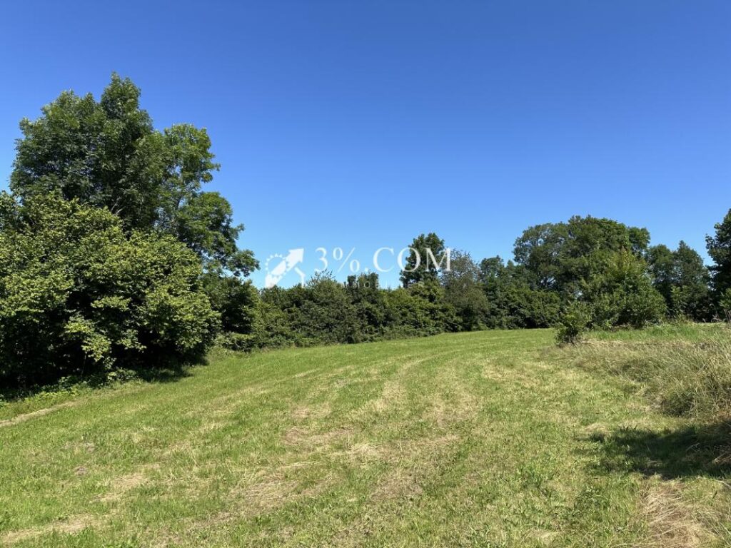 Terrain constructible de 6363 m2 sur la commune d’Uriménil – NR pièces – NR chambres – 6363 m²