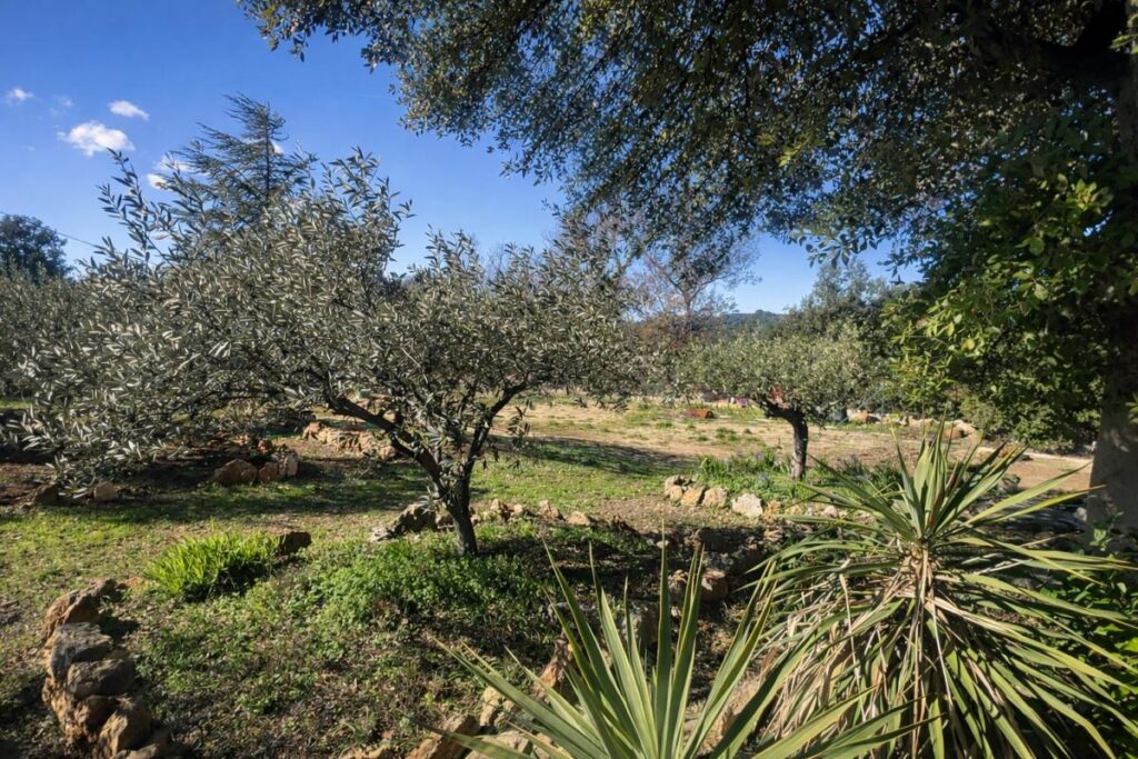 Ensemble immobilier Flassans 300 m2 – 11 pièces – 5 chambres – 330 m²