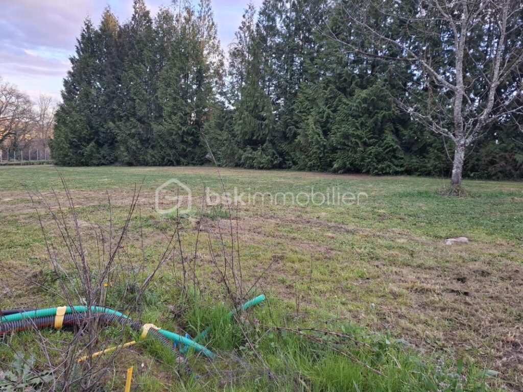 Terrain constructible 1165 m² – Viabilisé – Vue sur coteaux – Sainte-Colombe – NR pièces – NR chambres – 1165 m²