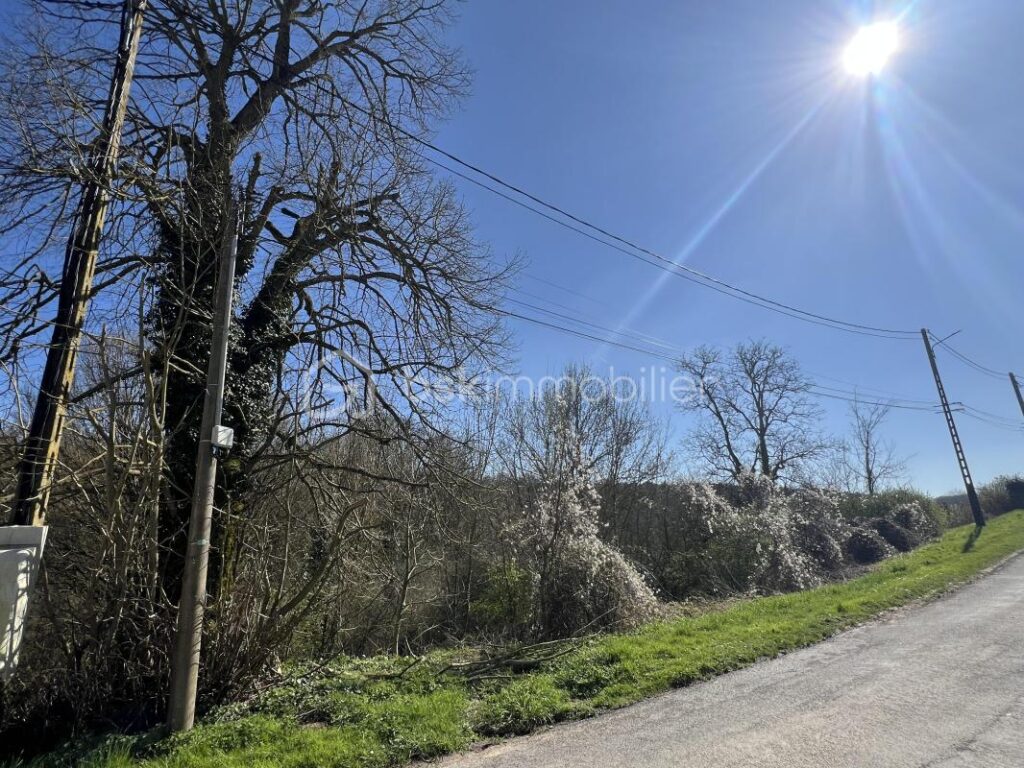 Beau terrain 12 minutes d’Etampes – NR pièces – NR chambres – 1146 m²