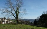 Terrain viabilisé 1005 m² avec superbe vue – NR pièces – NR chambres – 1005 m²
