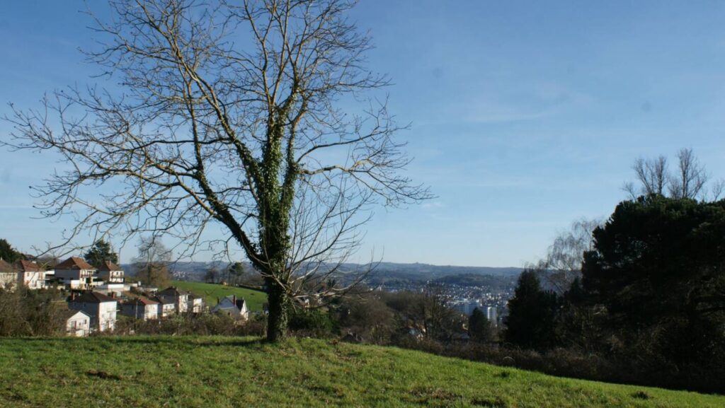 Terrain viabilisé 601 m² avec superbe vue – NR pièces – NR chambres – 601 m²