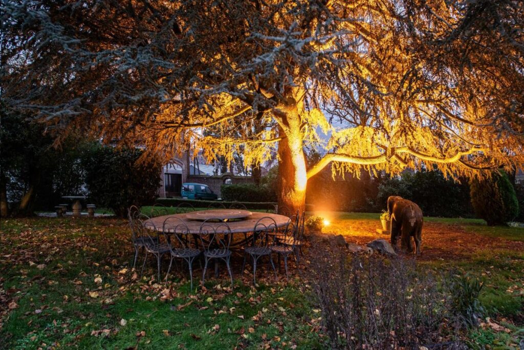 Manoir – 21 pièces – 8 chambres – 696 m²