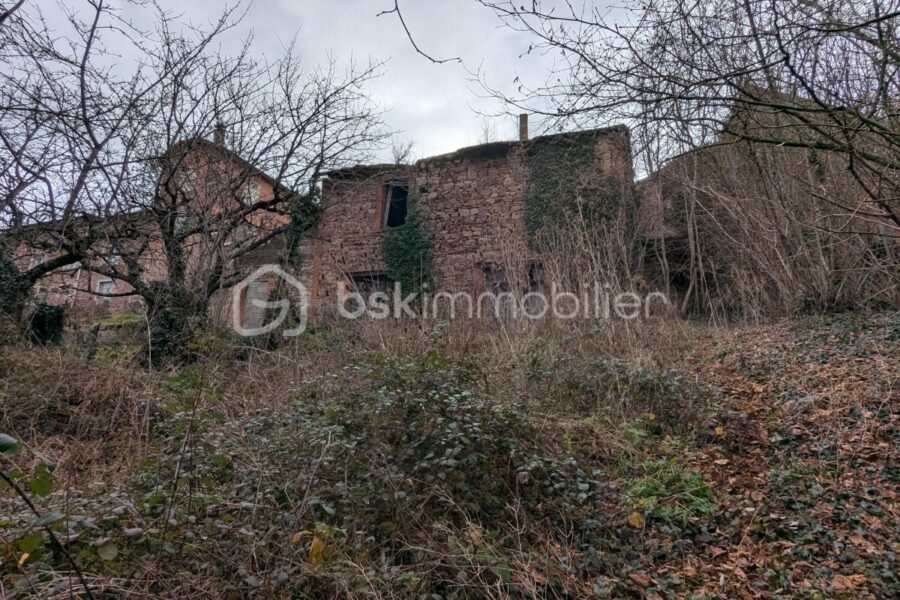 Maison à vendre à Rozier en donzy