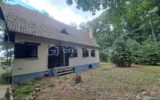 Maison au cœur d’une parcelle boisée – Coup de cœur assuré ! – 4 pièces – 3 chambres – 117 m²