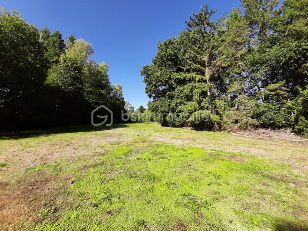 Terrain de loisir 9275 m² – Cognac la Forêt 87310 – NR pièces – NR chambres – 9773 m²