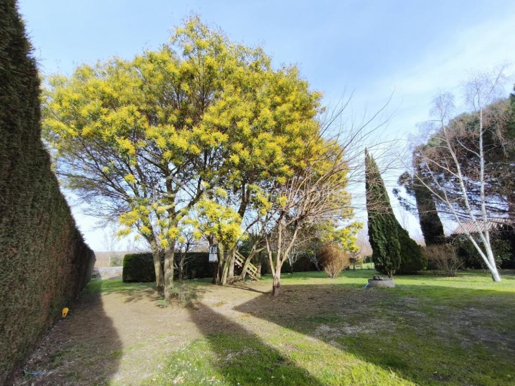 PROPRIÉTÉ D’EXCEPTION À TOULOUSE | 245 m² | PARC DE 3 000 m² DIVISIBLE | PRESTATIONS HAUT DE GAMME – 9 pièces – 5 chambres – 245 m²