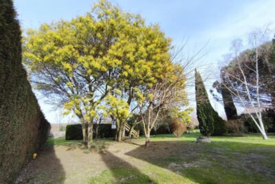 PROPRIÉTÉ D’EXCEPTION À TOULOUSE | 245 m² | PARC DE 3 000 m² DIVISIBLE | PRESTATIONS HAUT DE GAMME – 9 pièces – 5 chambres – 245 m²