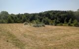 TERRAIN CONSTRUCTIBLE SEMI VIABILISE – NR pièces – NR chambres – 1594 m²