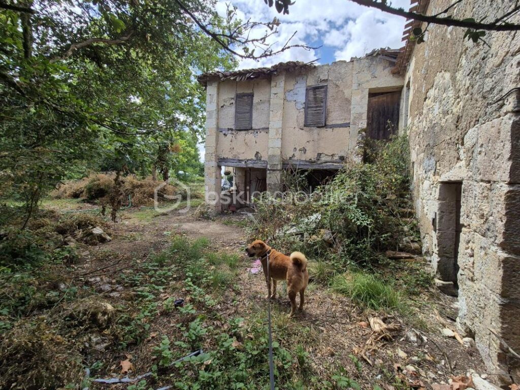 Terrain constructible vue Pyrénées – NR pièces – NR chambres – 5838 m²