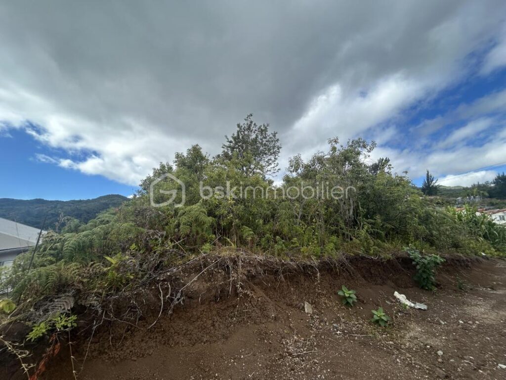 Parcelle de terrain constructible de 994 m2 (vue mer et montagne) – NR pièces – NR chambres – 994 m²