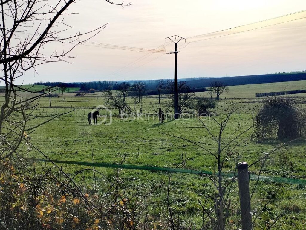 À vendre : Terrain constructible 1 004 m² – Vue imprenable – Secteur calme à 13 km de Rethel – NR pièces – NR chambres – 1004 m²