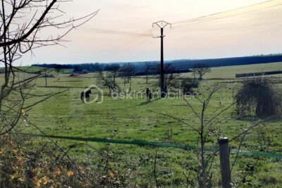 À vendre : Terrain constructible 1 004 m² – Vue imprenable – Secteur calme à 13 km de Rethel – NR pièces – NR chambres – 1004 m²