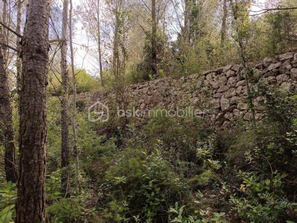 Terrain Agricole à Tautavel – 12 410 m² en Nature de Vigne en Friche – NR pièces – NR chambres – 12490 m²