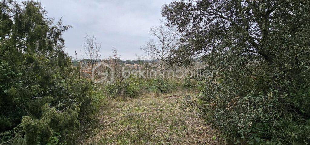 Terrain sur la commune de Villevieille – Zone AA – NR pièces – NR chambres – 7256 m²