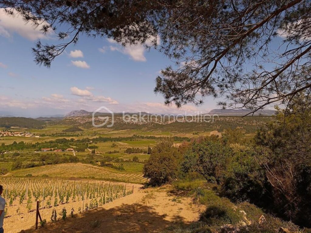 À vendre – Terrain agricole de 2 045 m² – Vue panoramique à Tautavel – NR pièces – NR chambres – 2045 m²