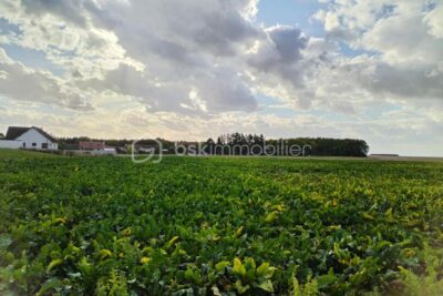 Terrain à batir sur Cauroy – NR pièces – NR chambres – 451 m²