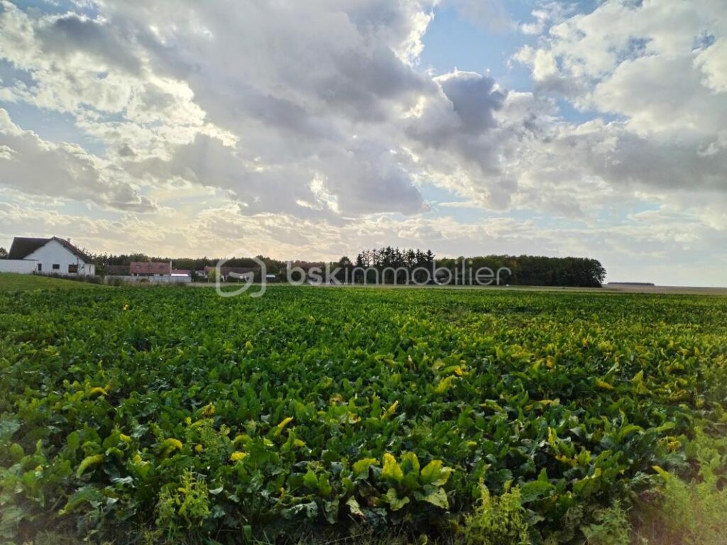 Terrain à batir – NR pièces – NR chambres – 653 m²