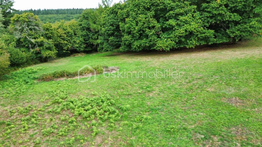 Terrain constructible 2 486 m² à Bonnac-la-Côte – Environnement calme et recherché – NR pièces – NR chambres – 2486 m²