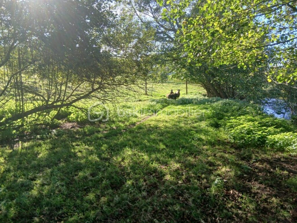 Terrain constructible en bordure de rivière – NR pièces – NR chambres – 1250 m²