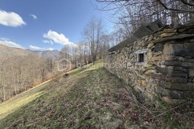 Grange Foraine en Ruine avec terrain sur Campan – 1 pièce – NR chambres – 91 m²