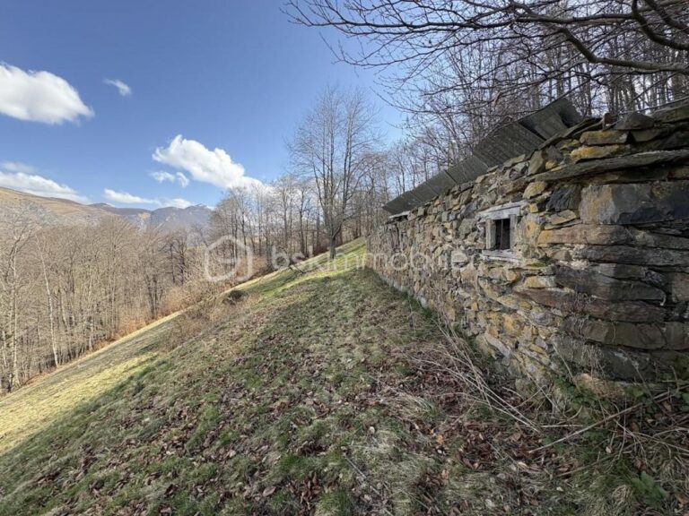 Grange Foraine en Ruine avec terrain sur Campan – 1 pièce – NR chambres – 91 m²