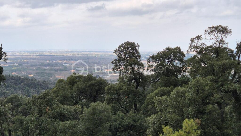 A VENDRE BOIS 56090M² A ARGELES SUR MER – PROCHE DU RACOU – VUE MER – FORAGE – PUITS ARTESIEN – PANNEAUX PHOTOVOLTAIQUES – ELECTRICITE – NR pièces – NR chambres – 56090 m²