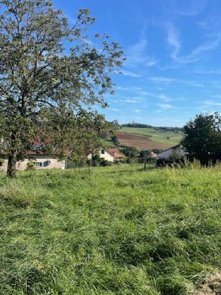 Terrain à vendre à Bouxieres aux chenes