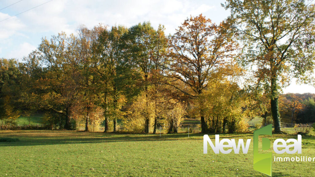 Terrain constructible – NR pièces – NR chambres – 3169 m²