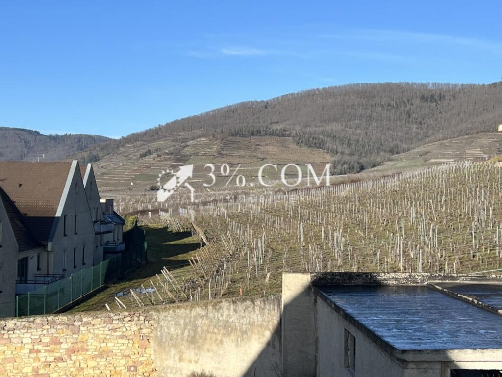 Bel Appartement de qualité au sein d’une petite copropriété – 2 pièces – 1 chambre – 46 m²