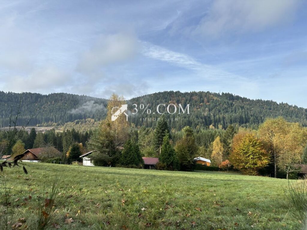 Terrain à bâtir 1800 m2 secteur Gerardmer – NR pièces – NR chambres – 1800 m²