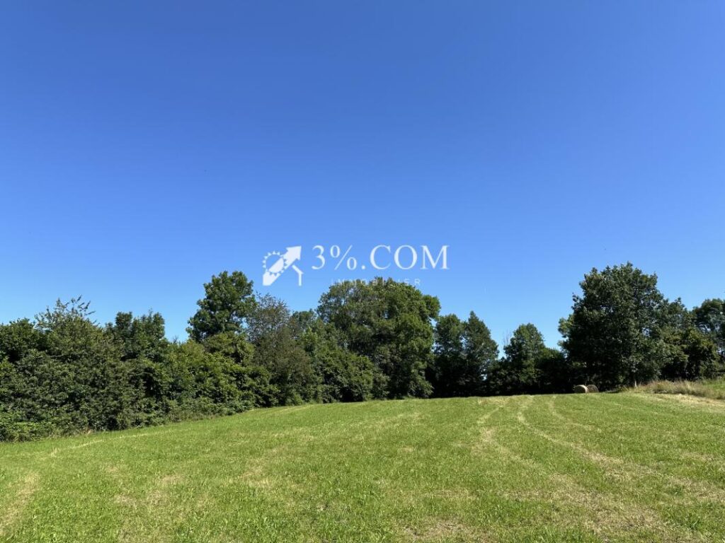 Terrain constructible de 6363 m2 sur la commune d’Uriménil – NR pièces – NR chambres – 6363 m²
