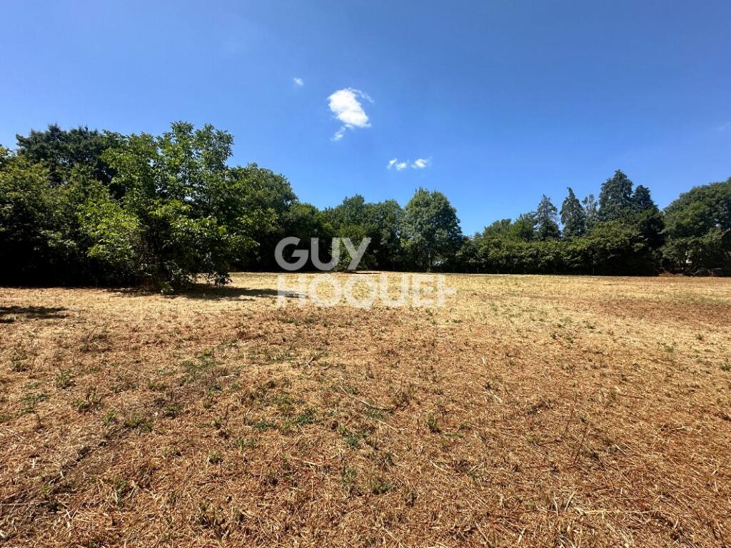 Terrain Mervent 3795 m2 – NR pièces – NR chambres – 3795 m²