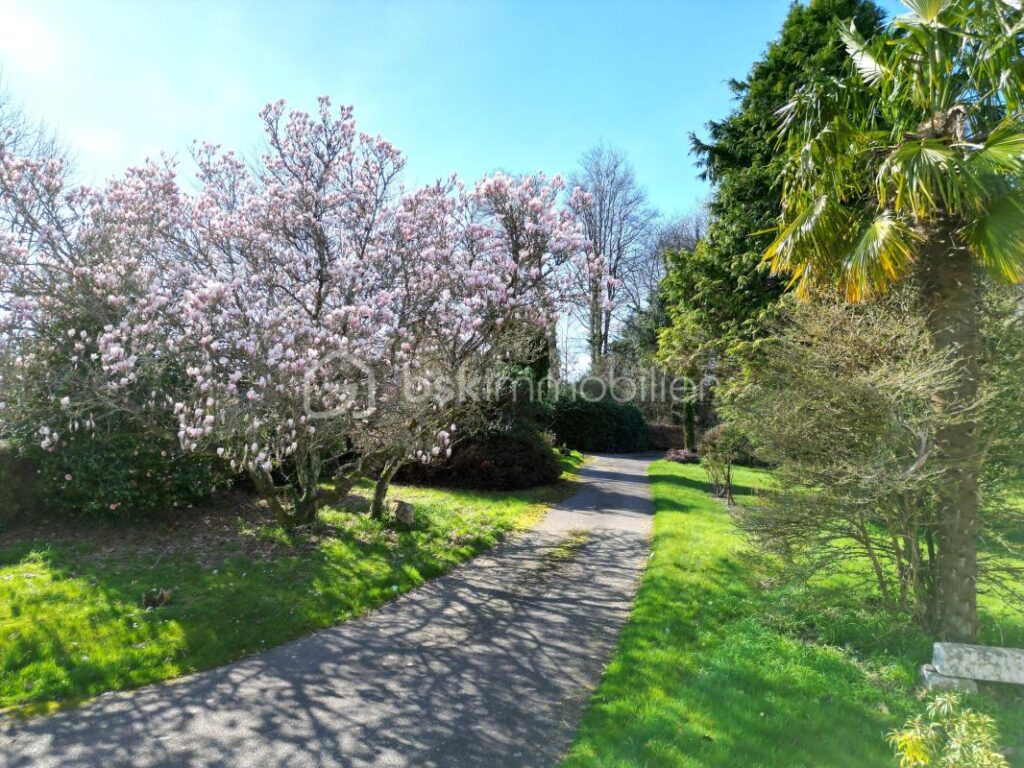 Maison au calme avec grand terrain, hangar et vue dégagée – 4 pièces – 3 chambres – 120 m²