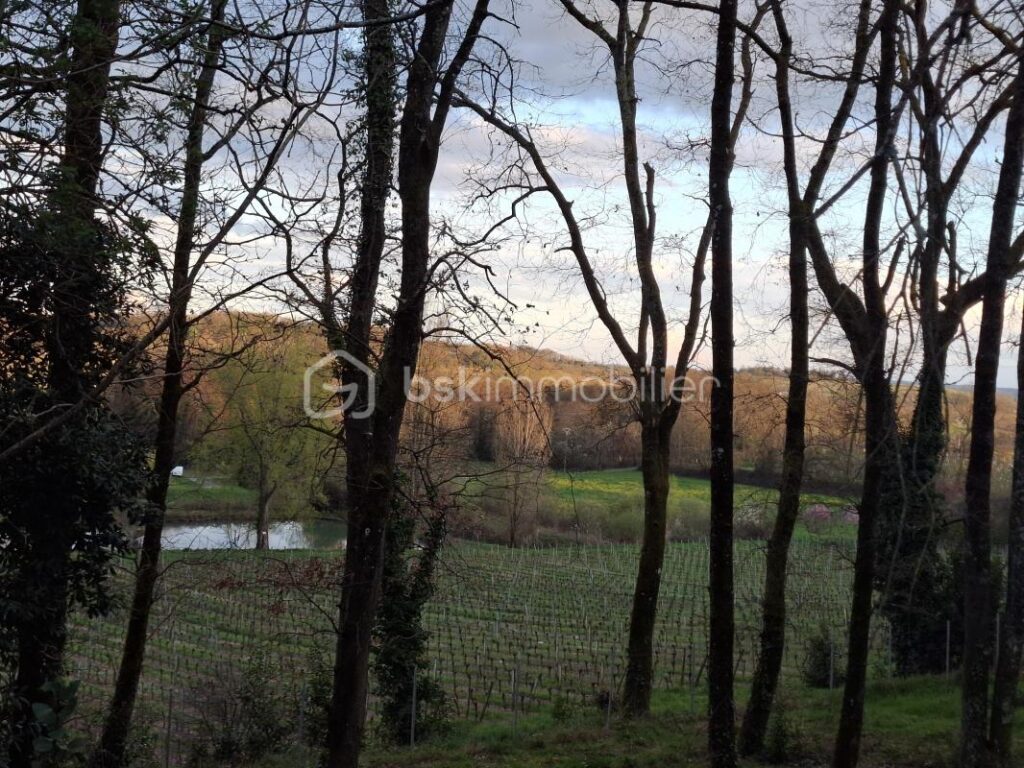 Terrain constructible 1165 m² – Viabilisé – Vue sur coteaux – Sainte-Colombe – NR pièces – NR chambres – 1165 m²