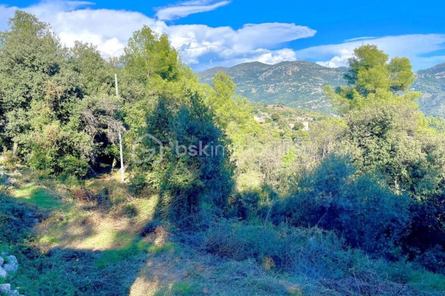 Terrain à vendre à Carros
