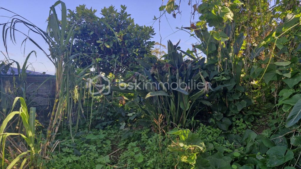 mont vert les hauts avec belle vue – NR pièces – NR chambres – 334 m²