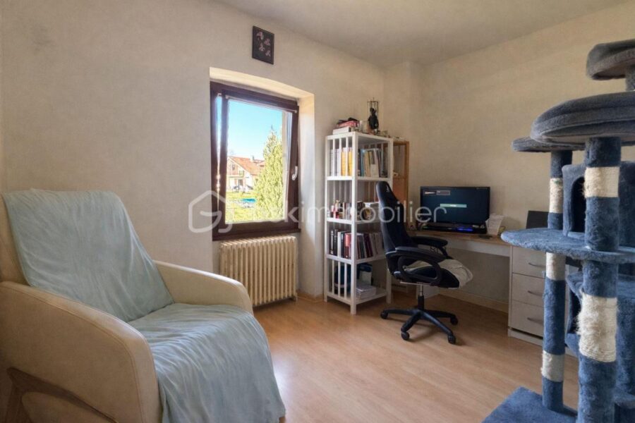 Maison à vendre à Chainaz les frasses
